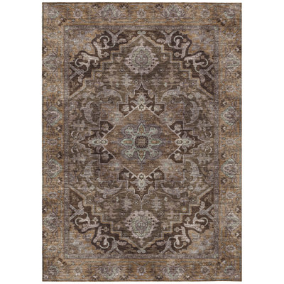 Machine Washable Indoor/Outdoor Arline ACN2165 Global Rug