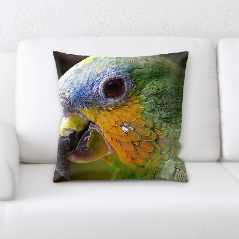 Coussin perroquet