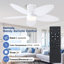 42" 5-blade Indoor Tropical Flush Mount Ceiling Fan With Light And Remote/app Control-2047448057