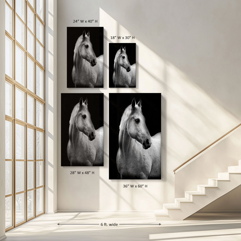 Reproduction sur toile, "White Mare Drama" par Danita Delimont, H 40 po x l 24 po x P 1,5 po