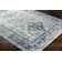 Kilpatrick Oriental Area Rug