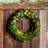 6 " Boxwood Wreath