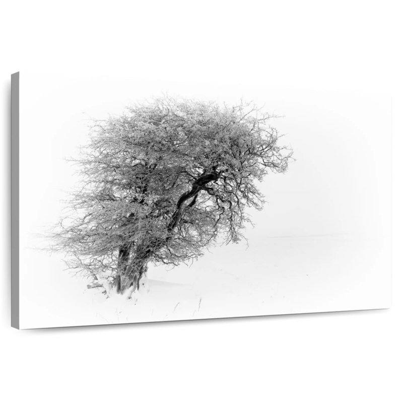 Resilience II, 32" H x 48" W