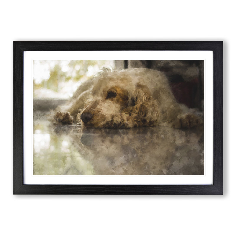 Cocker Spaniel Dog - Picture Frame Graphic Art, 27cm H x 36cm W x 2cm D, Black Framed