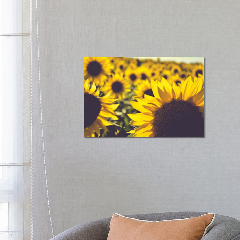 Dreamy Summer Sunflowers II by Olivia Joy StClaire - Wrapped Canvas Print, 66.04 cm H x 45.72 cm W x 3.175 cm D