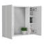 Armoire à pharmacie Artemisa, double porte, miroir, une tablette extérieure - blanc-1190666200