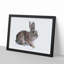 Brown Bunny Rabbit in Abstract - Picture Frame Painting Print-55681268-55681271