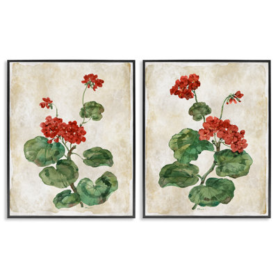 Floral Journal Red Flower, ensemble de 2 giclées encadrées, design par Paul Brent