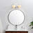 Caniesha Dimmable Vanity Light-524187487-485917305-524187475
