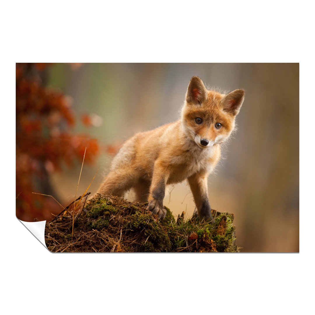 Panther Print Fine Art Prints Curious Red Baby Fox Artistic Unframed Poster, Pictures For Home Walls, Bedroom, Living Room & Bathroom Decor