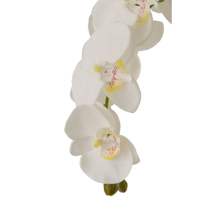 Faux Plant, 98cm H x 70cm W x 60cm D