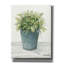 «Old Bucket of Greenery» par Cindy Jacobs, art mural sur toile-940540390
