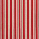 Carnival Tango Performance 100% Cotton Fabric