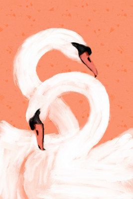 Graceful Swans Print, Size, Format, Frame Color