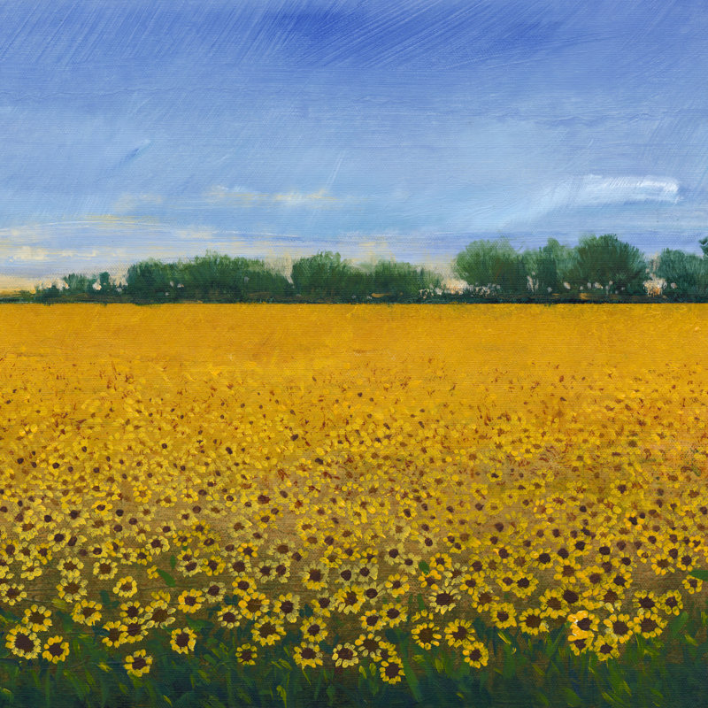 Champ de tournesols II, H 12 po x l 12 po x P 1,25 po