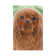 Ruby Slippers - Cavalier King Charles Spaniel by Judith Stein - Wrapped Canvas Painting