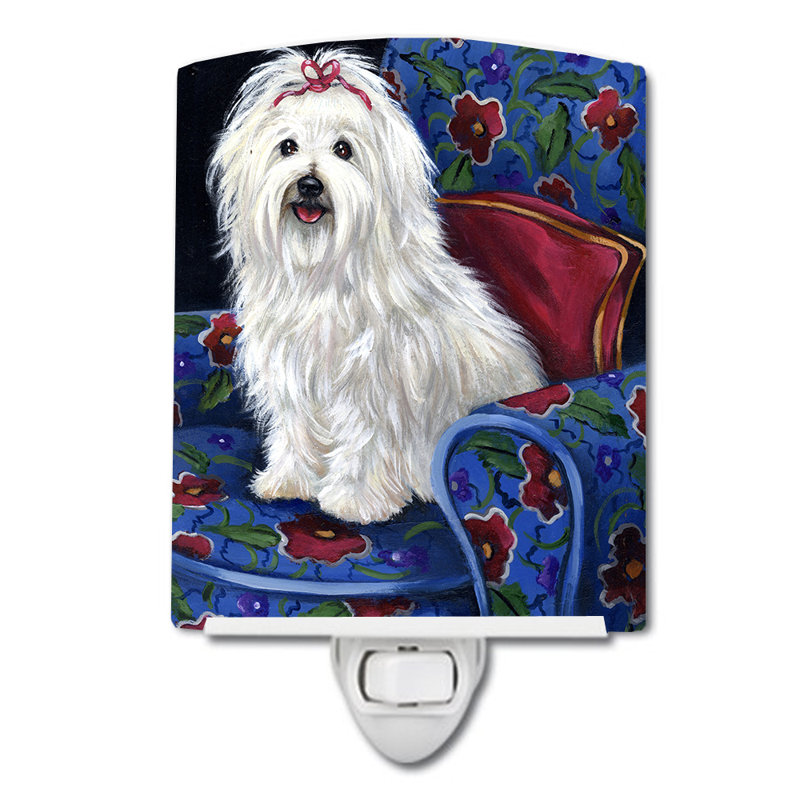 Veilleuse Westie, Coton de Tuléar royauté