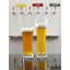Beer Basic 23 oz. Lager Glass-134724231