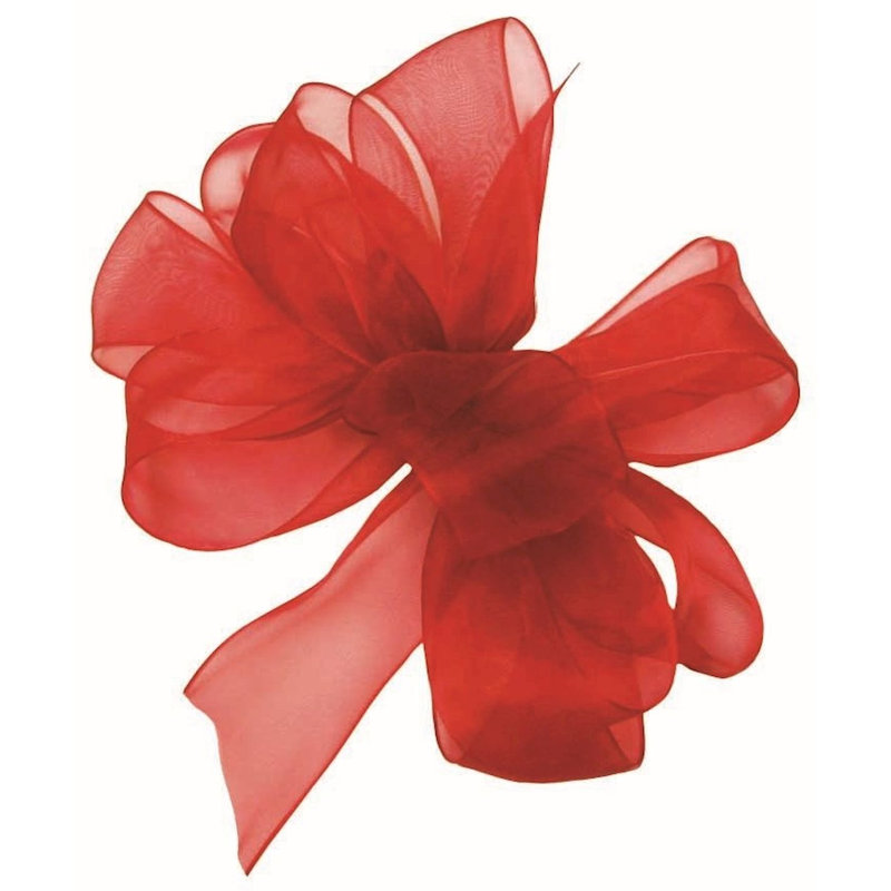 Ruban tropical tropical, Rouge, H 2 po x l 6 po x P 6 po