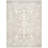 Calidia Oriental Light Gray Area Rug-22830102