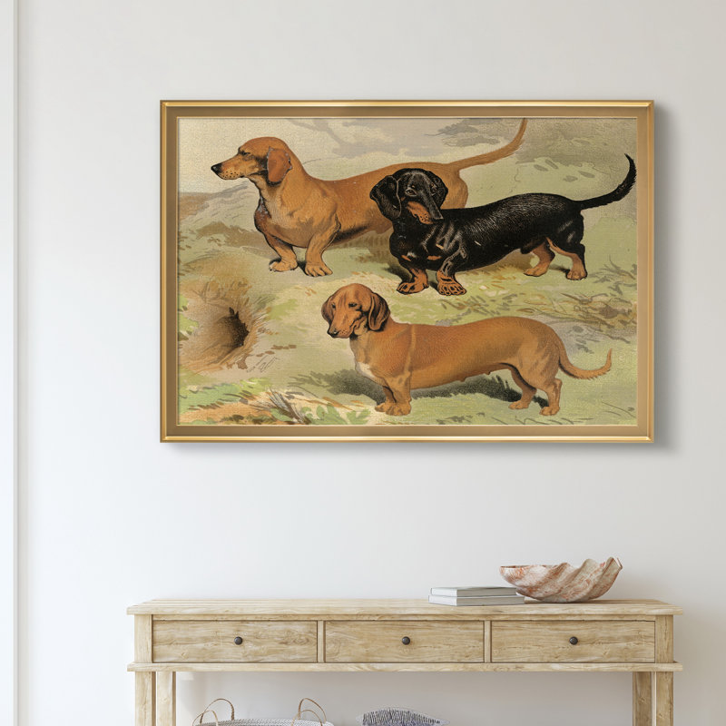 Dachsunds - reproduction d'art sur toile, Doré, H 26,5 po x l 36,5 po x P 1,5 po