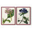 AntiqueFloralFolio III - reproduction encadrée de qualité supérieure - prête à être accrochée - aucun clou requis - aucun clou requis-488776839-488776838