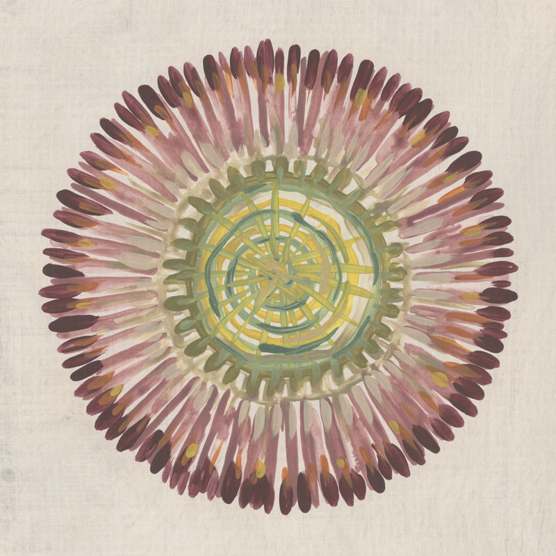 Radial Aura II by June Erica Vess - Wrapped Canvas Print, 30 cm H x 30 cm W