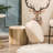 Brumbaugh Pouf-764448762