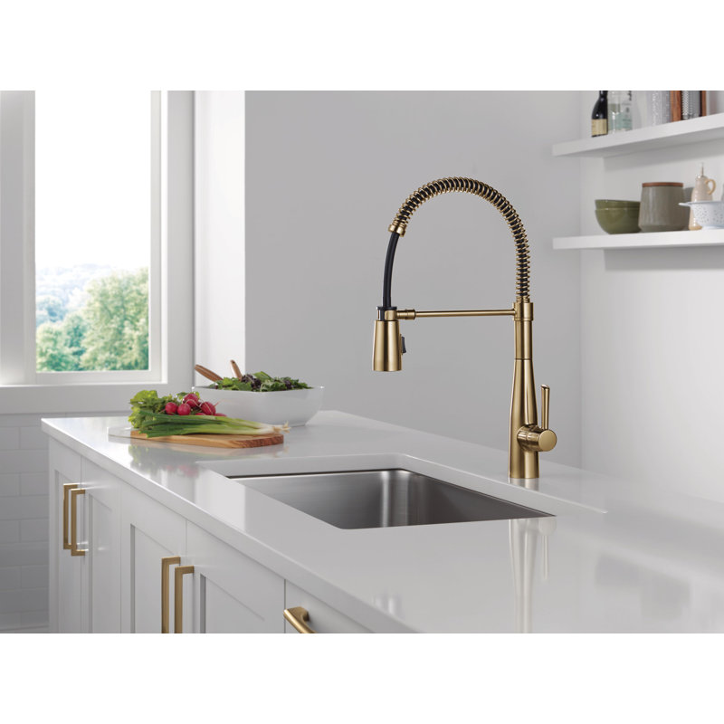 Robinet de cuisine Essa Pro, Bronze champagne