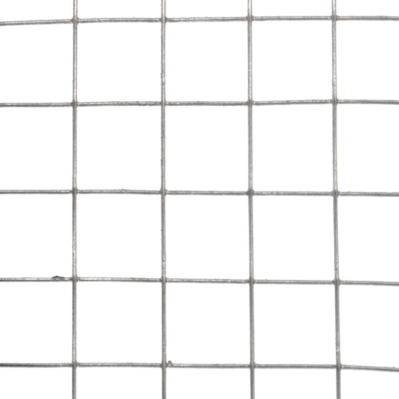 Cat Cage, White