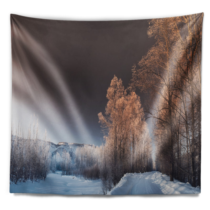 Tapisserie paysage paysage d'hiver futuriste, H 32 po x l 39 po