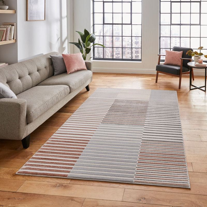 Apollo area rug Machine Woven Rectangle Grey, Rectangle 120 x 170cm