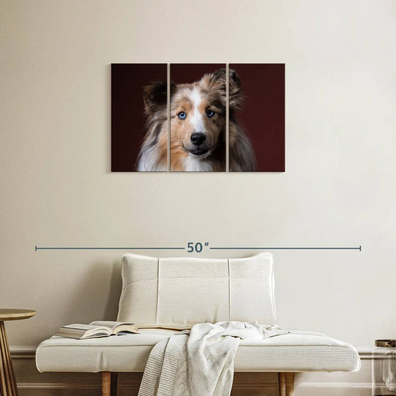 Adorable Sheltie, H 20 po x l 33 po