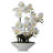Natural Fibres Orchids Arrangement in Pot