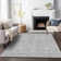 Premium Machine Washable Prisco Silver Rug