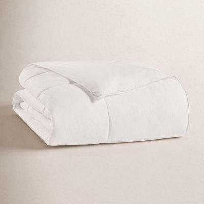 Sleep Philosophy Year Round Warmth 300 Thread Count Cotton Sateen Down Alternative 3M Thinsulate Comforter