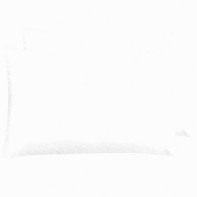 Luxury Hair-Safe Zippered Pillowcase Set - Queen Size, Hidden Zipper, Pure White - 20x30 Inches - Pack of 2 - Soft & Smooth Fabric - Bedding Essential