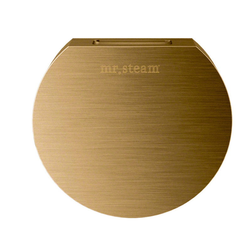 Pièce ronde de générateur de vapeur Steamhead, Bronze brossé
