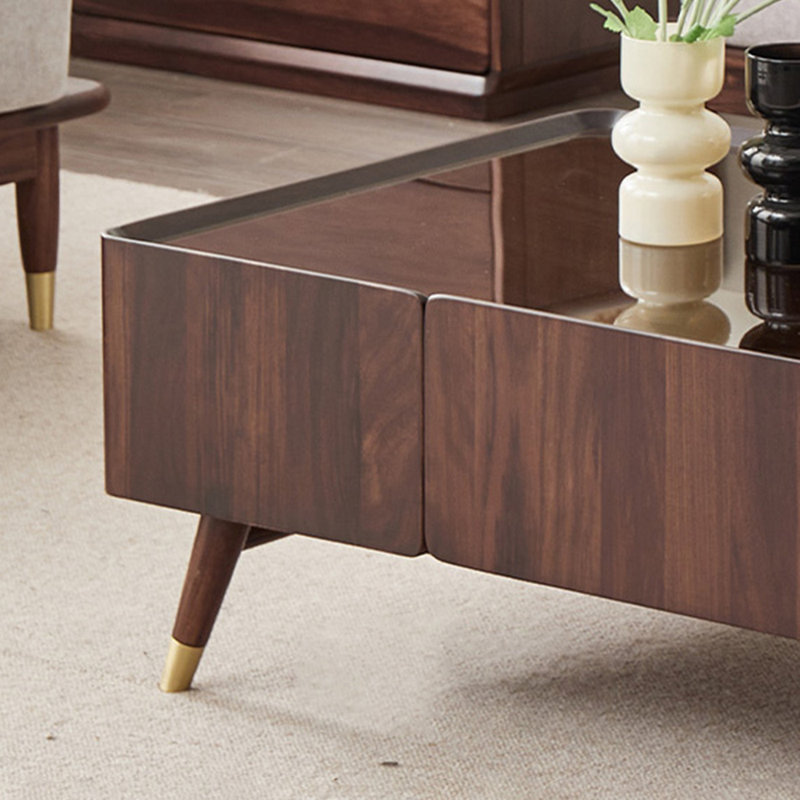 Luxury Minimalist Style Walnut Coffee Table