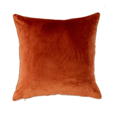 Velvet Throw Pillow Set of 2