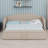 Daybed With Extended Pop Up Trundle-1539803180