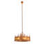 Tall Pines Downrod Ceiling Fan