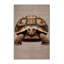  Tapis lavable africain-180108613