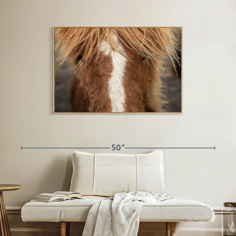 Gros plan d'un cheval Islandais, Cadre flottant en bois naturel, 40 po x 27 po