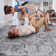 Naar Payas Area Rugs, Grey/Blue/Traditional Accent Power Loom Machine -Crafted Rug