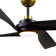 Horizon Ceiling Fan with LED Lights