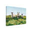 Art mural sur toile tendue - Michael Willett «Solitaire mouton I», art mural pour salon, chambre à coucher ou bureau - 24 x 32
