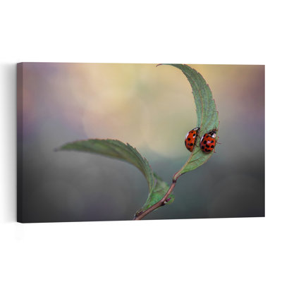 Serene Ladybug Pair Colorful Peaceful Serene Ladybug Nature Plant Wall Art Print by Atul Saluja - Print
