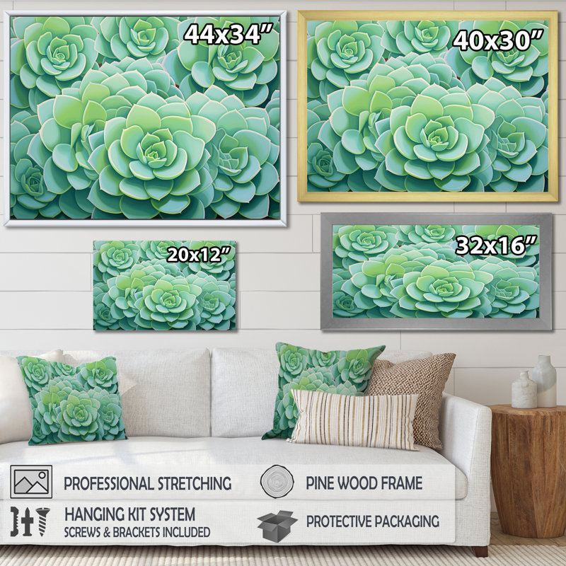 " Green Succulents Bloom ", 34" H x 44" W x 1.5" D, Wrapped Canvas