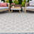 Dewsbury Indoor / Outdoor Rug-1984436544